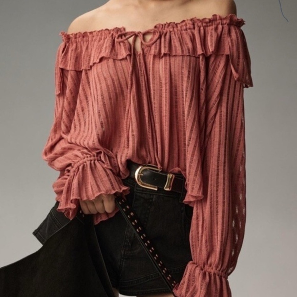 Anthropologie Rosy Ruffle Sheer Textured Poet Blouse NWT XL #2514